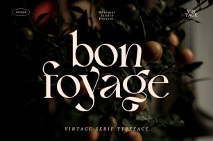 Bon Foyage - Vintage Modern Serif Font Download