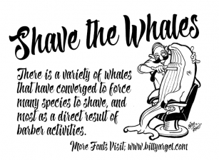 Shave the Whales Font Download