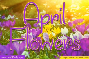 April Flowers Font Download