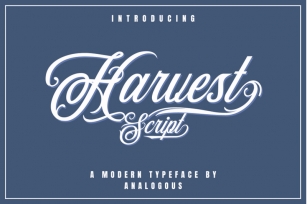 Harvest Script | Modern Typeface Font Download