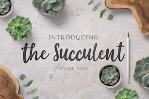 The succulent - font trio! Font Download