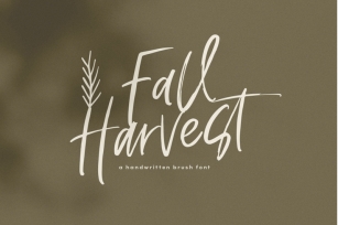 Fall Harvest - Handwritten Script Font with extras Font Download