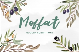 Moffat Modern Script Font Font Download