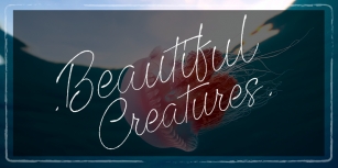 Beautiful Creatures Font Download