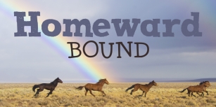 DK Homeward Bound II Font Download