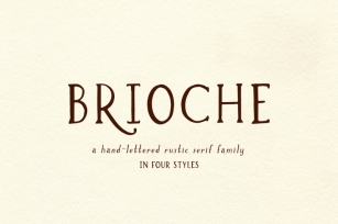 Brioche Serif Font Family Font Download