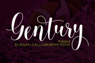 Gentury Font Download