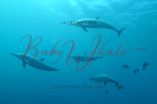 Baby Whale Font Download