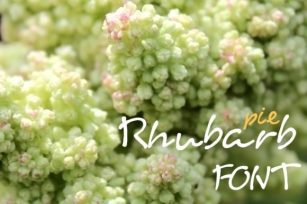 Rhubarb Pie Font Download