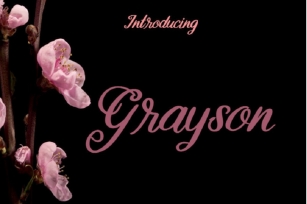 Grayson Font Font Download