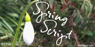 Spring Scrip Font Download