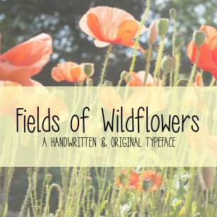 MRF Fields of Wildflowers Font Download