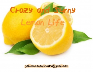 ELF_Crazy_and_Sunny_Lemon_Life Font Download