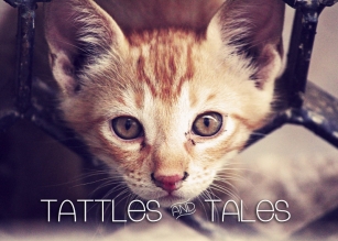 Tattle & Tales Font Download