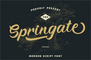 Springate - Modern Script Font Font Download