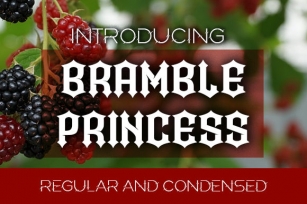 Bramble Princess Font Download