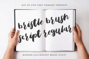 Bristle Brush Scrip Font Download
