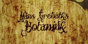 Botanink Font Download