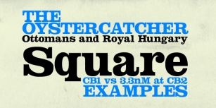 Squarendon Font Download