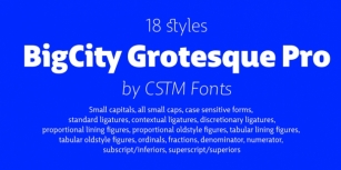 BigCity Grotesque Pro Font Download