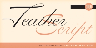 Feather Script Font Download