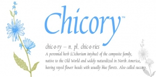 Chicory Font Download