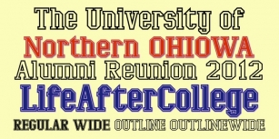 LifeAfterCollege Font Download