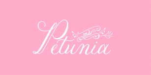 Petunia Font Download