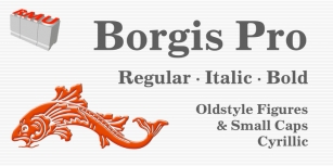 Borgis Pro Font Download