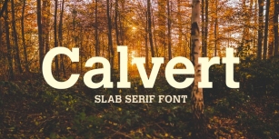 Calvert Font Download