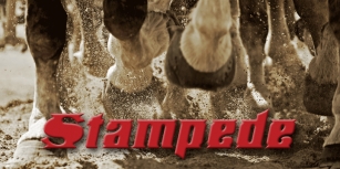 Stampede Font Download