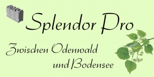 Splendor Pro Font Download
