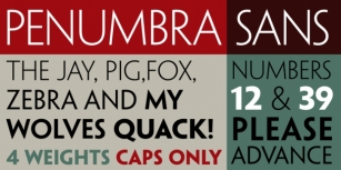 Penumbra Sans Font Download