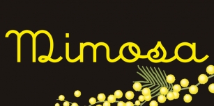 Mimosa Font Download