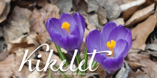 Kikele Font Download