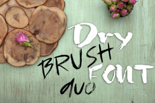 Dry Brush Duo Font Download