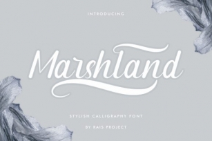 Marshland Font Download