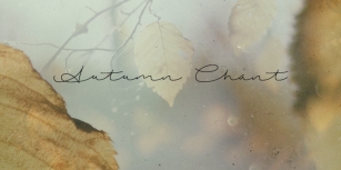 Autumn Cha Font Download