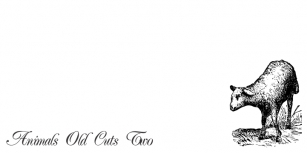 Animals Old Cuts Tw Font Download