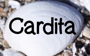 Cardita Font Download