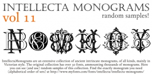 Intellecta Monograms Random Eleve Font Download