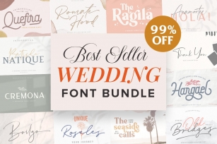 Wedding Font Bundle Vol. 1 Font Download