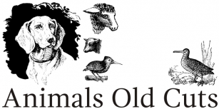 Animals Old Cuts Font Download