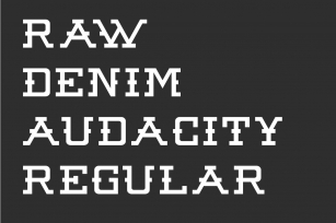 Raw Denim Audacity Font Download