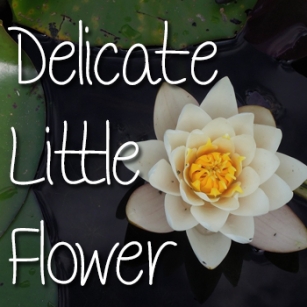 Mf Delicate Little Flower Font Download