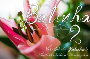 Vtks Belinha Font Download