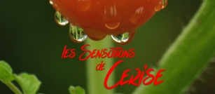 Les Sensations de Cerise Font Download
