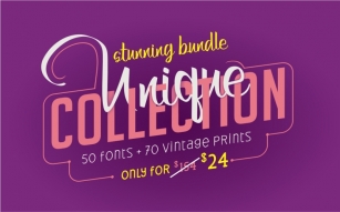 Stunning Bundle Unique Collection Font Download