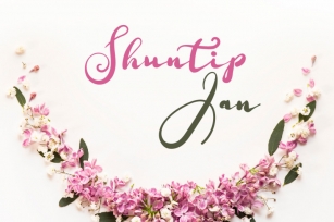 Shuntip Jan script font by watercolor floral designs Font Download