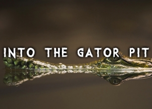 Into the Gator Pi Font Download